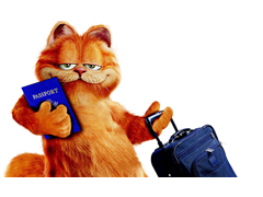 三維動(dòng)畫(huà)制作報(bào)價(jià)