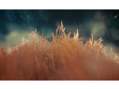 細說廣告宣傳片籌備階段