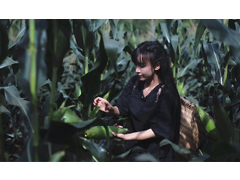 誰將成為下一個“李子柒”？