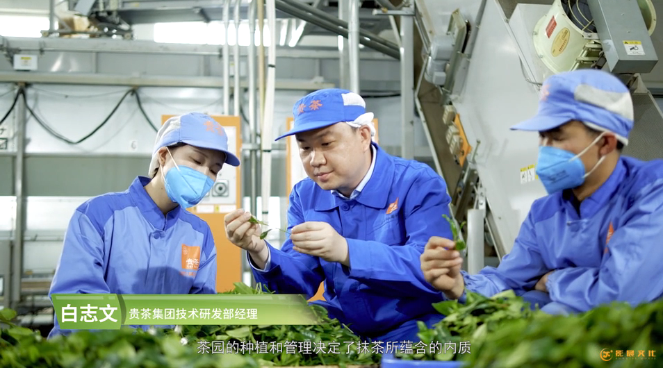 企業(yè)宣傳視頻應(yīng)該從哪些方面進(jìn)行拍攝？