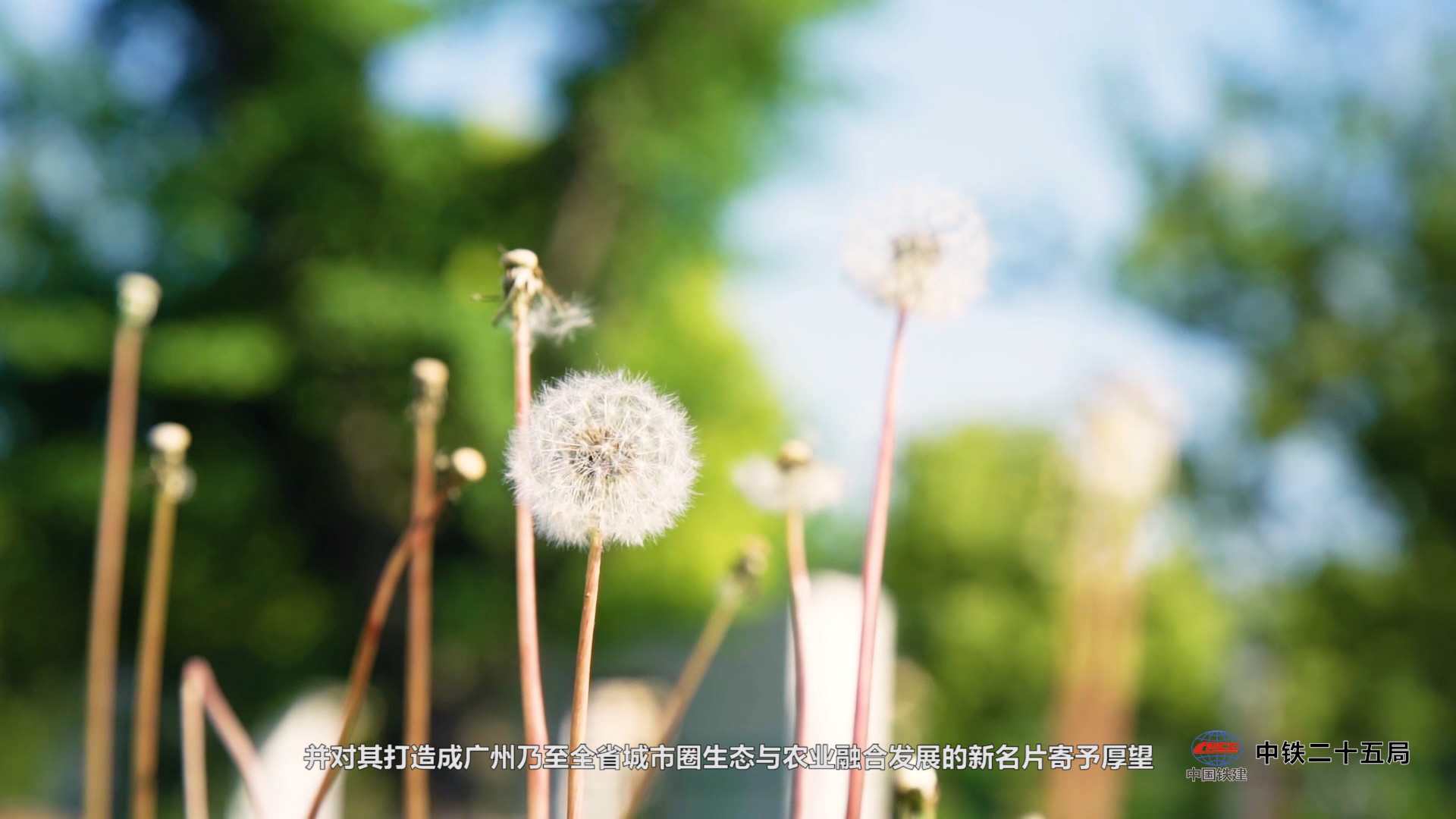 廣州環(huán)保企業(yè)三維動(dòng)畫制作經(jīng)驗(yàn)豐富公司