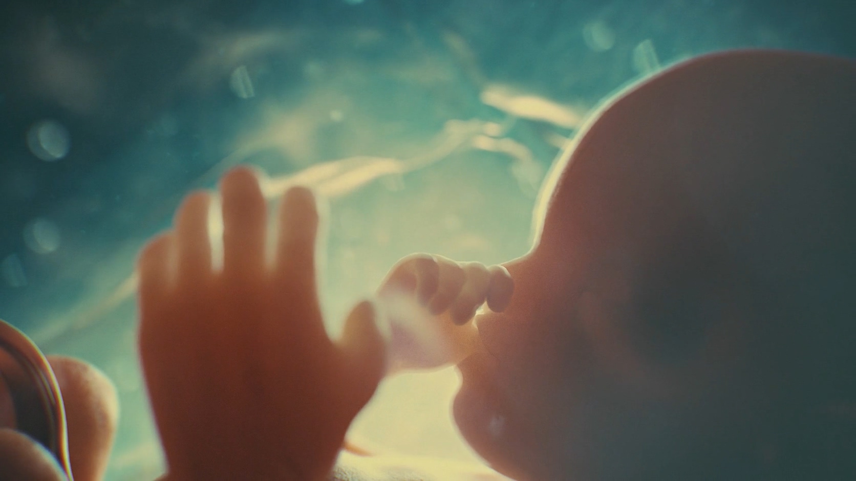 醫(yī)療醫(yī)學三維動畫制作的應用及分類