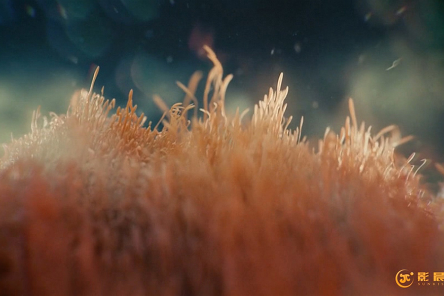 三維動畫一秒鐘多少錢,廣州三維動畫制作公司分