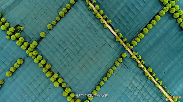 廣州產(chǎn)品宣傳片