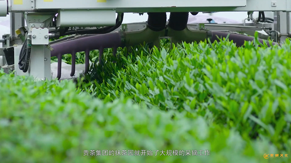 產(chǎn)品宣傳片