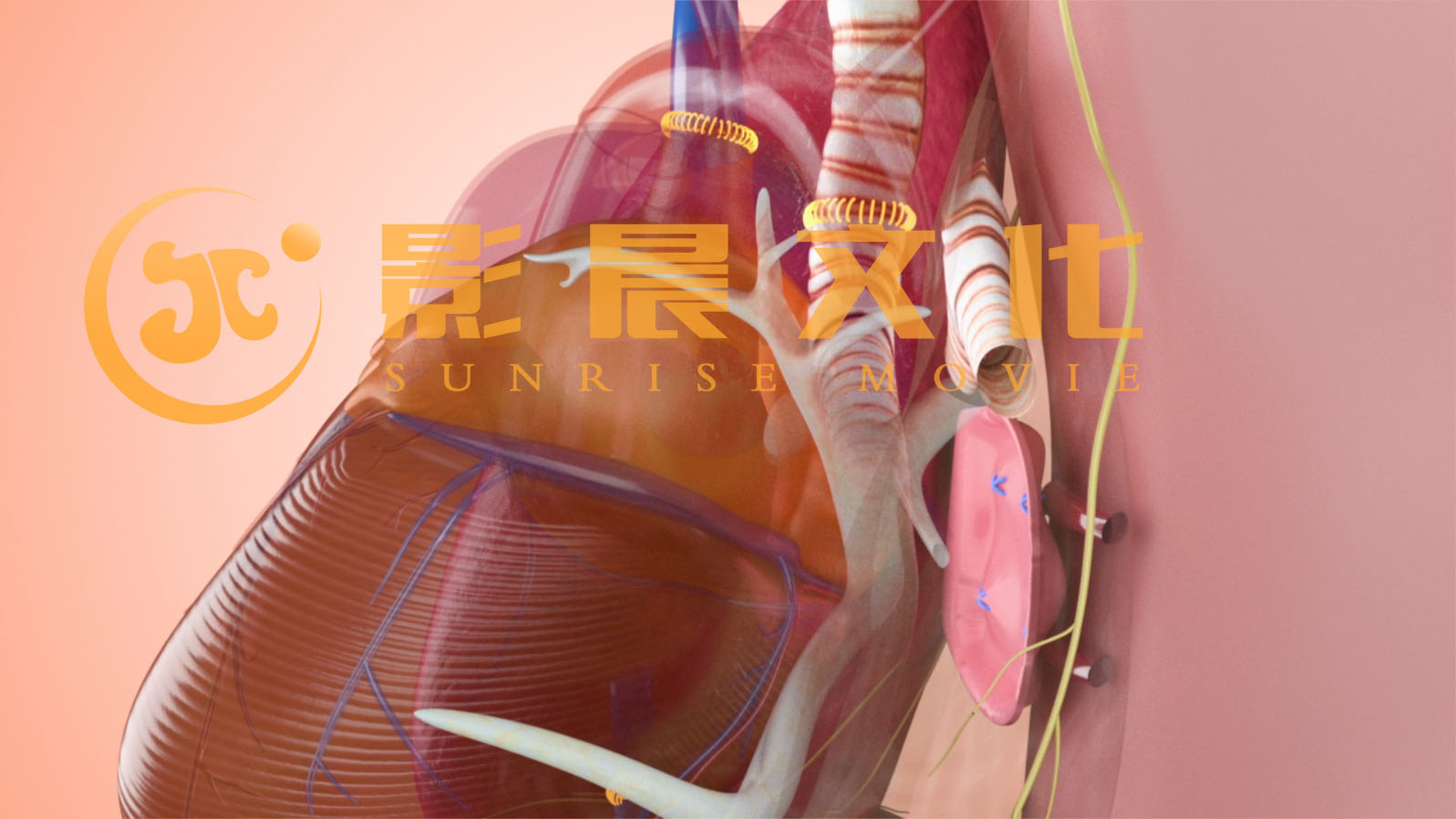 醫(yī)學(xué)三維動(dòng)畫---廣州醫(yī)科大學(xué)附屬第一醫(yī)院